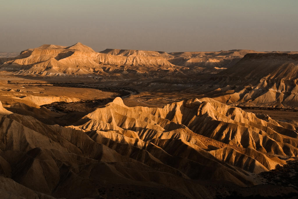 Krivine B&B Midreshet Ben Gurion Bagian luar foto